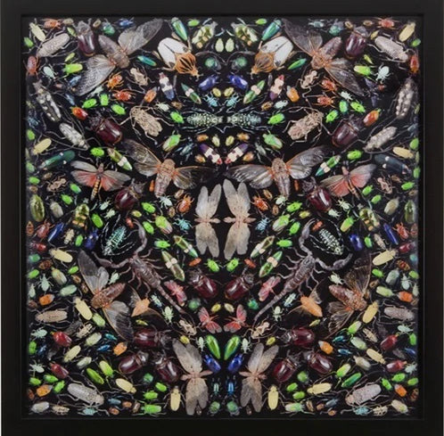 DAMIEN HIRST - Inferno